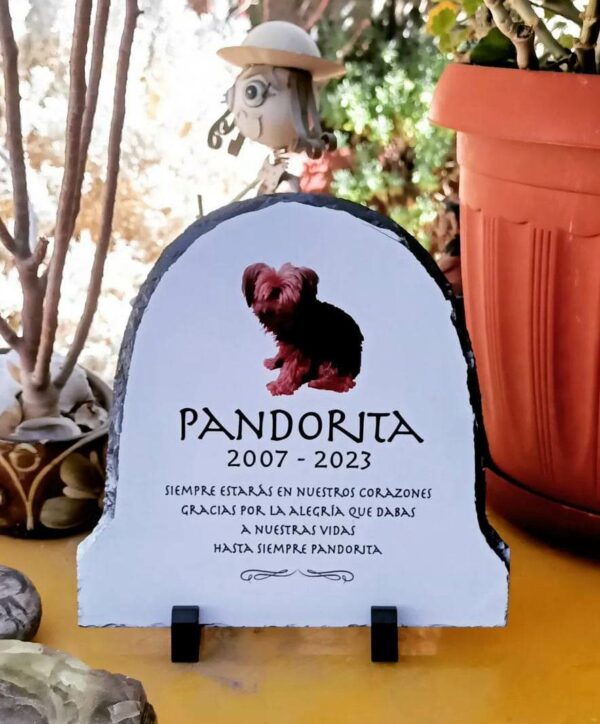 Lapidas para mascotas personalizadas - Imagen 13