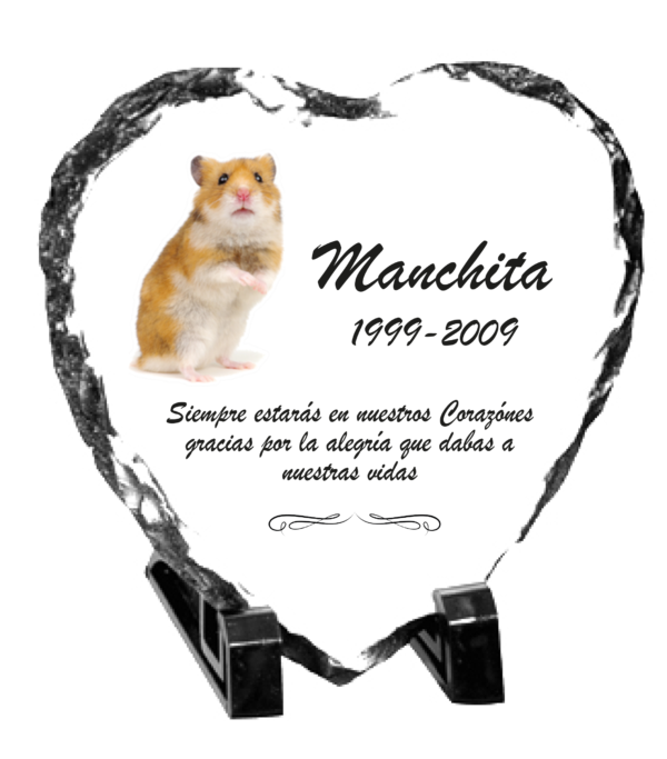 Lapidas para mascotas personalizadas - Imagen 4