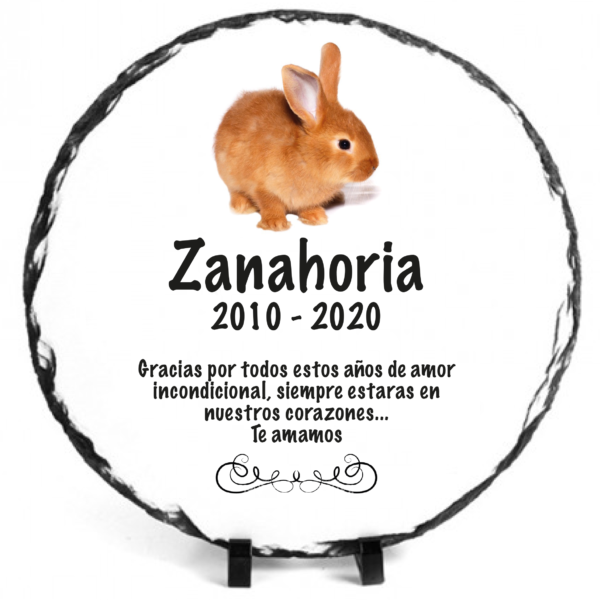 Lapidas para mascotas personalizadas - Imagen 9