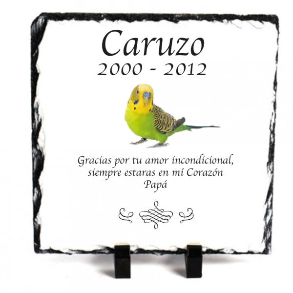Lapidas para mascotas personalizadas - Imagen 8