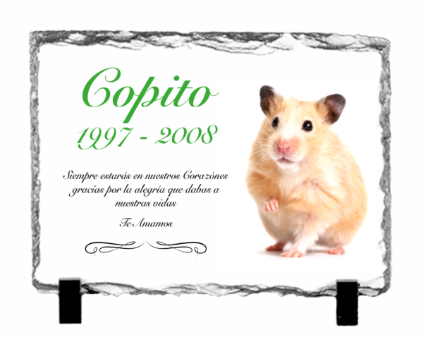 Lapidas para mascotas personalizadas - Imagen 6