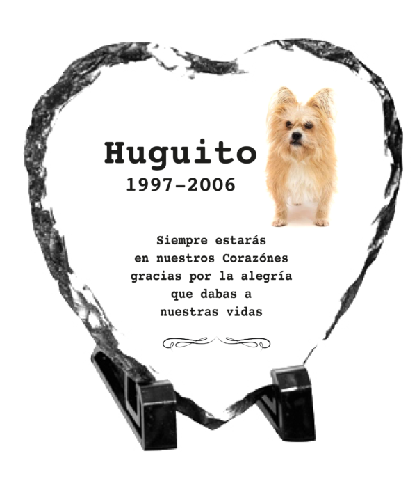 Lapidas para mascotas personalizadas - Imagen 3